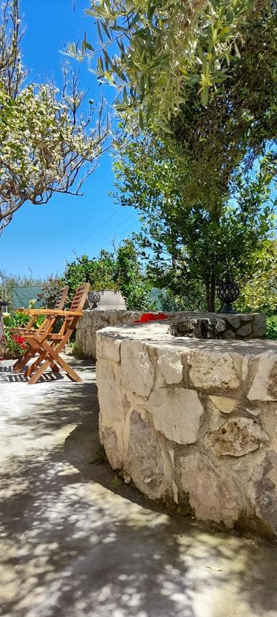 Margarita'S Stone House Daire Plátanos Dış mekan fotoğraf